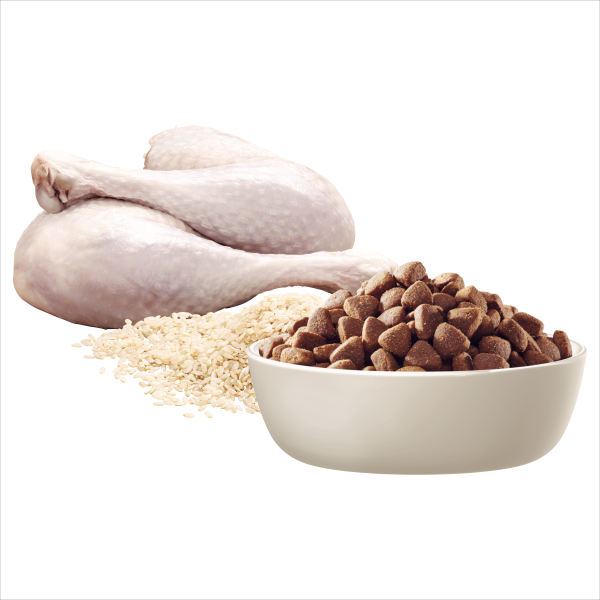 Advance – Adult Dog – Small Oodles – Turkey with Rice