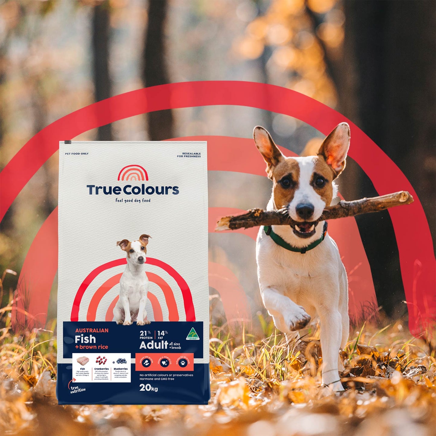 True Colours – Adult Dog – Australian Fish + Brown Rice