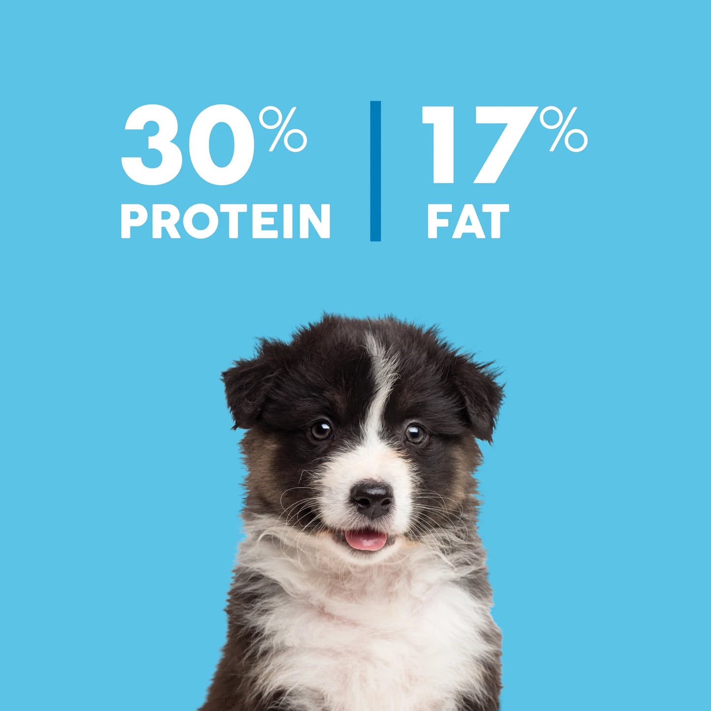 True Colours – Puppy – Australian Chicken + Brown Rice