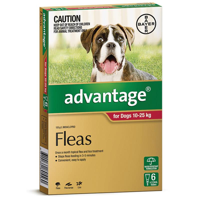 Advantage – Fleas – Dogs 10–25 kg