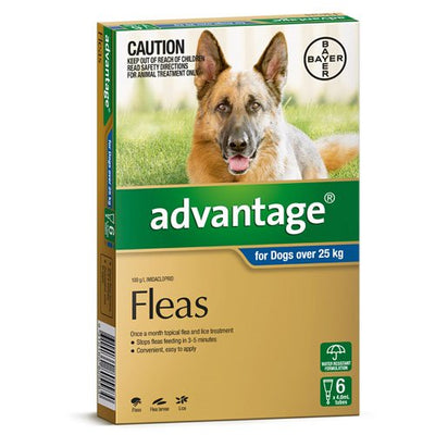 Advantage – Fleas – Dogs over 25 kg