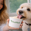 VitaMelt Dental — Mint Coconut