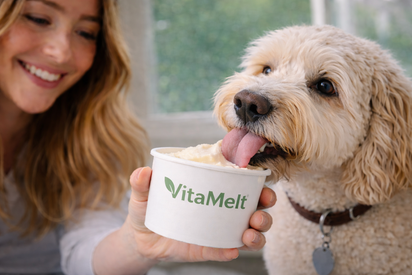 VitaMelt Dental — Mint Coconut