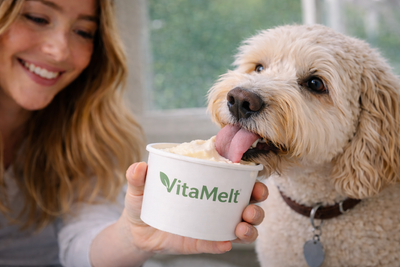 VitaMelt Dental — Mint Coconut