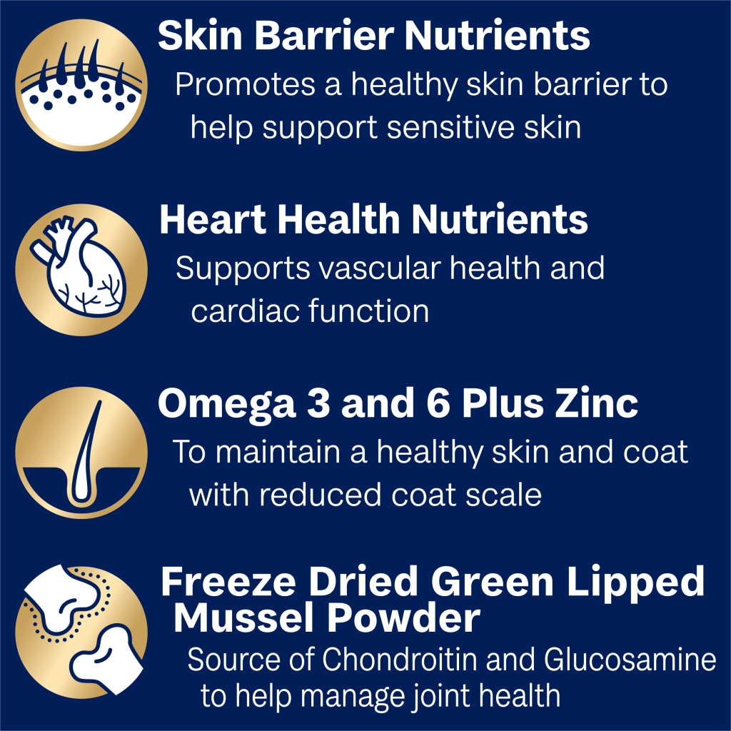 Advance Adult Dog Large Oodles - Turkey With Rice