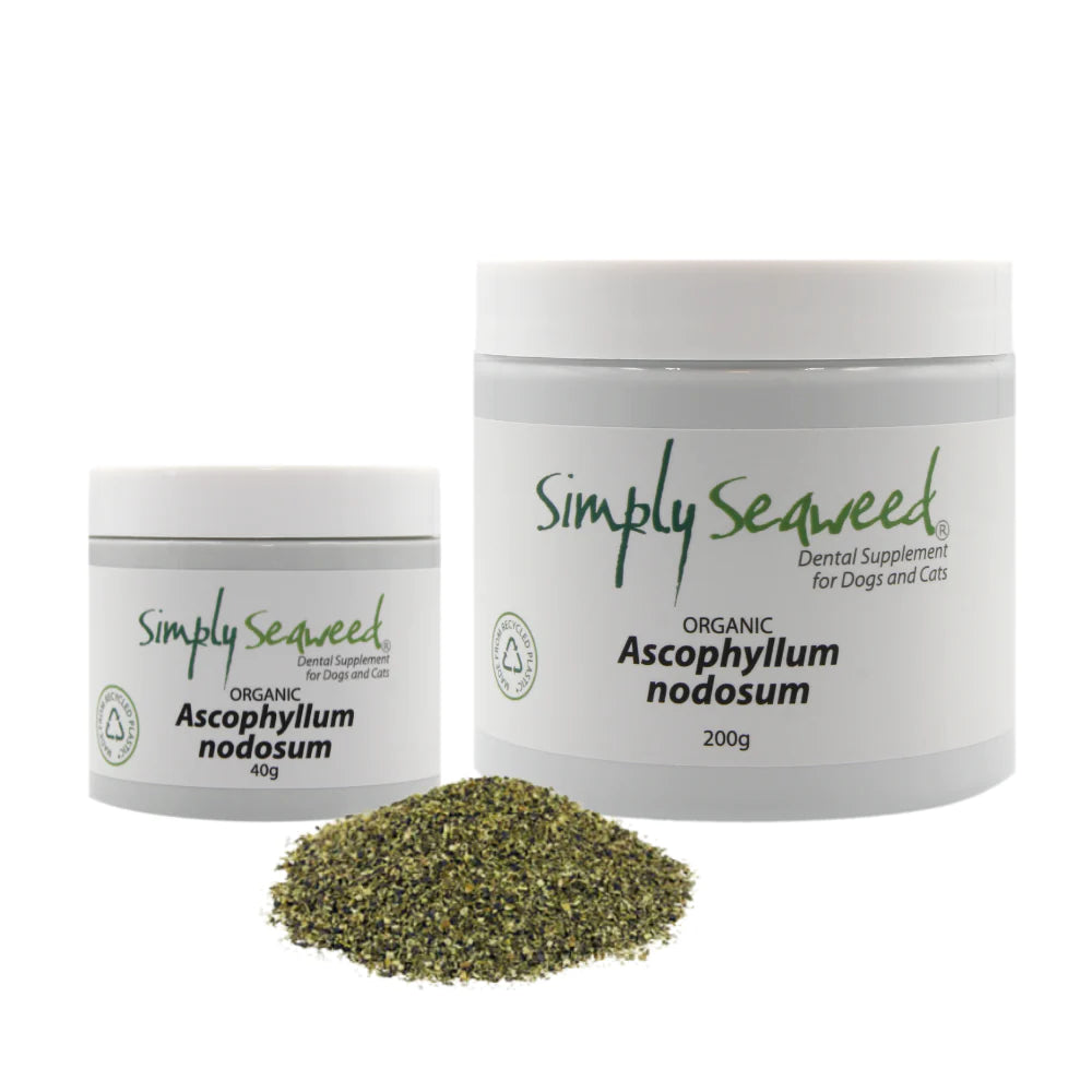 Simply Seaweed – Dental Supplement