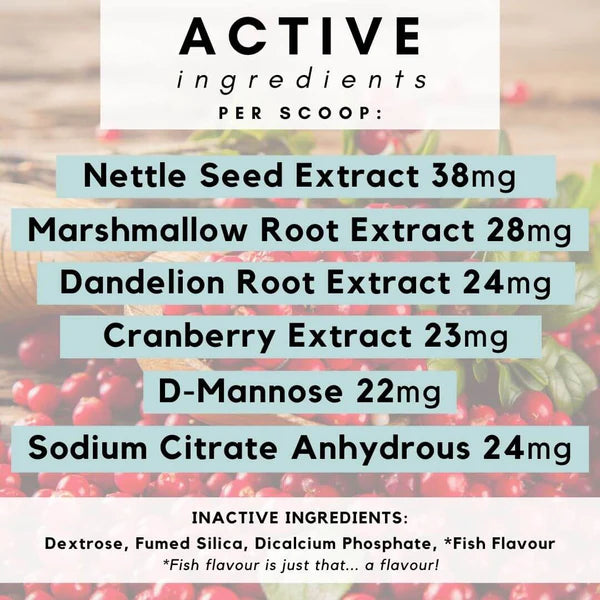 PetzPark – Urinary + Kidney – For Cats