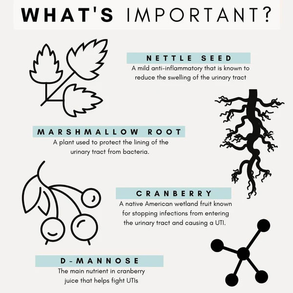 PetzPark – Urinary + Kidney – For Cats