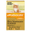 Advocate for Kittens & Small Cats up to 4 kg