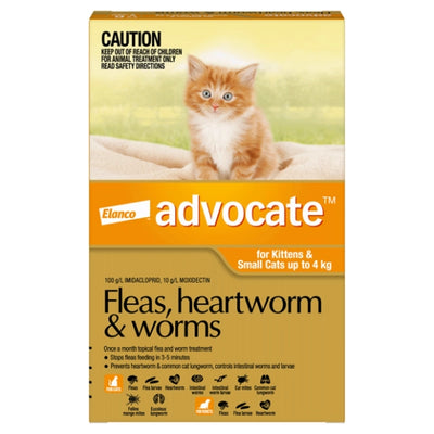 Advocate for Kittens & Small Cats up to 4 kg