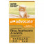 Advocate for Kittens & Small Cats up to 4 kg